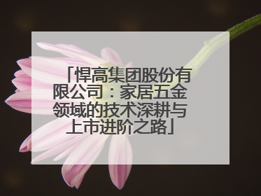 悍高集团股份有限公司：家居五金领域的技术深耕与上市进阶之路